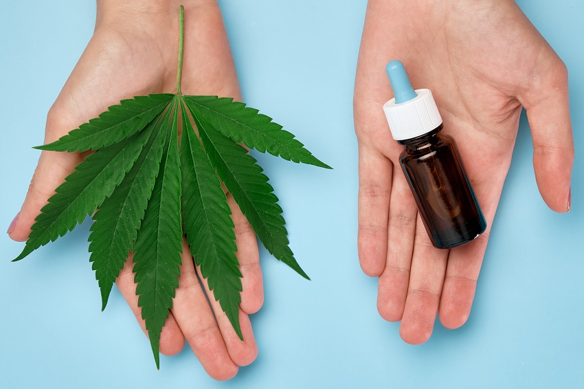 Cannabis leaf on the woman hand and bottle with CBD oil Woman holding a cannabis oil bottle and hemp leaf