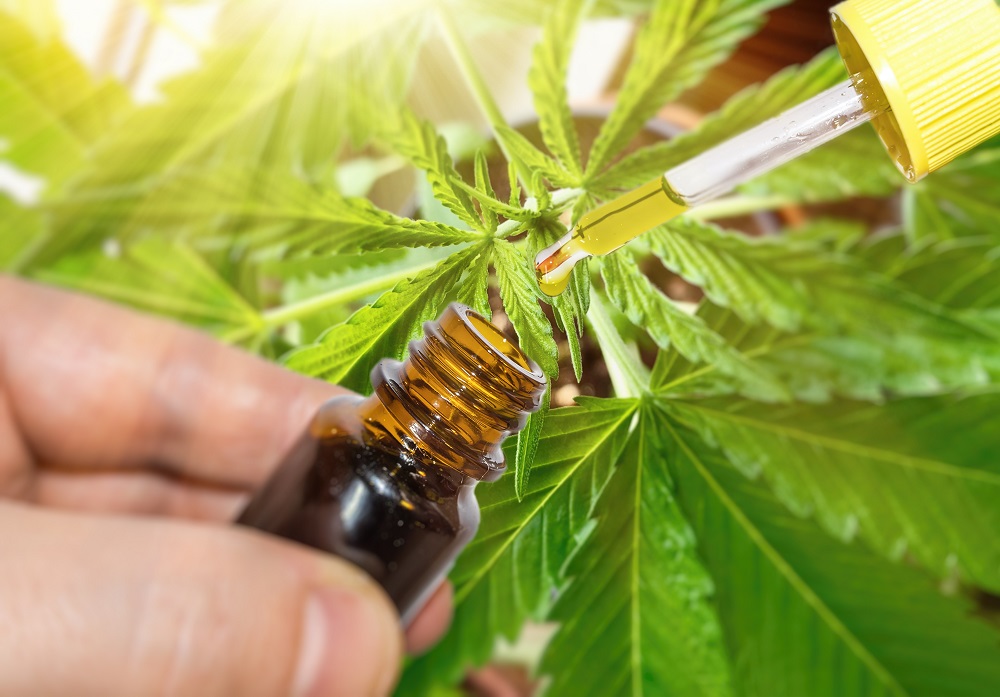 cbd-oil-against-marijuana-plant-2021-09-01-14-42-11-utc CBD oil