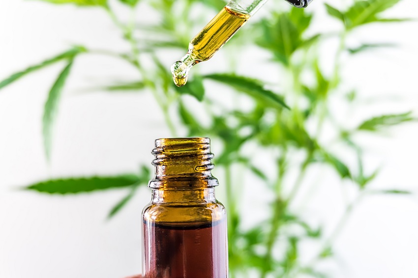 close-up-of-cannabis-cbd-oil-against-marijuana-pla-2021-09-01-13-52-07-utc CBD oil