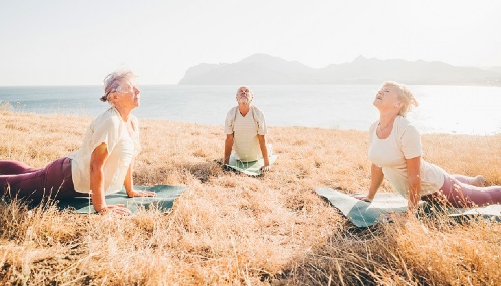 The Benefits of CBD Oil for Anxiety and Stress Relief Clinically CBD The Benefits of CBD Oil for Anxiety and Stress Relief Clinically CBD